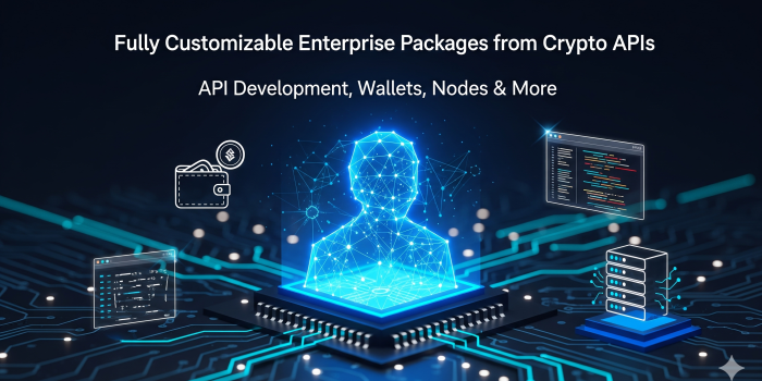 Fully Customizable Enterprise Packages from Crypto APIs: API Development, Wallets, Nodes & More