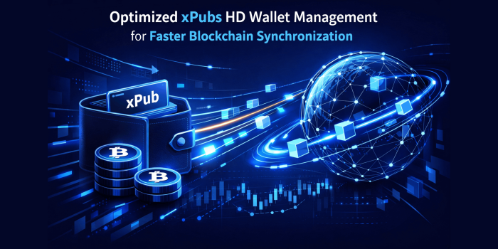 Optimized xPubs HD Wallet Management for Faster Blockchain Synchronization