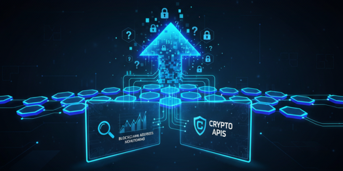 Choosing the Right Blockchain Address Monitoring Service from Crypto APIs