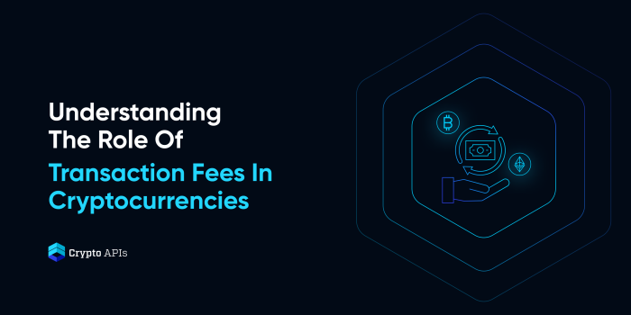 Understanding The Role Of Transaction Fees In Cryptocurrencies