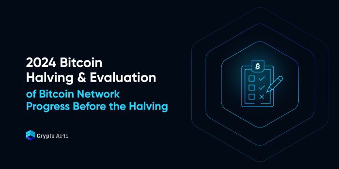 2024 Bitcoin Halving & Evaluation of Bitcoin Network Progress Before the Halving