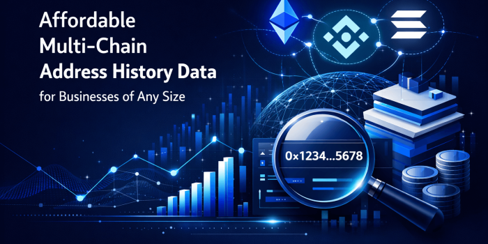 Affordable Multi-Chain Address History Data for Businesses of Any Size