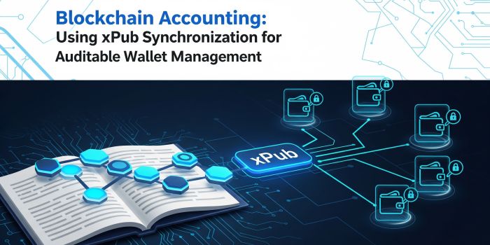 Blockchain Accounting: Using xPub Synchronization for Auditable Wallet Management