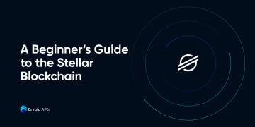 A Beginner’s Guide to the Stellar Blockchain